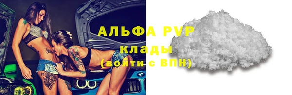 гашик Инсар