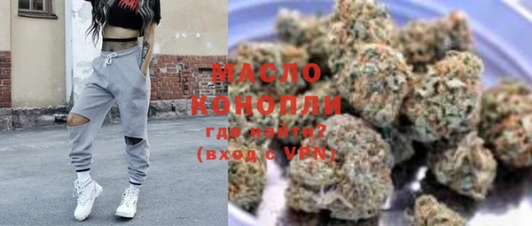 гашик Инсар