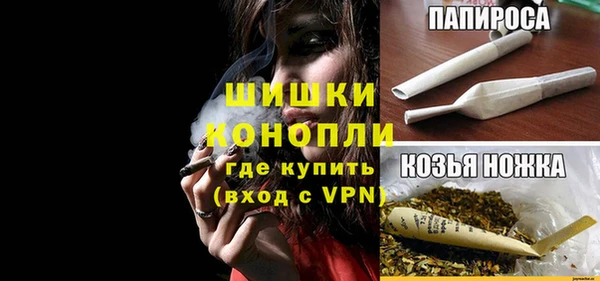 гашик Инсар