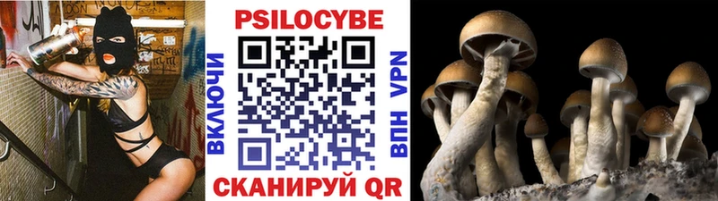 Купить где Городец Галлюциногенные грибы ЛСД